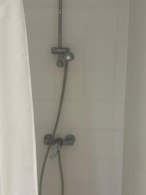 a shower in a bathroom with a shower head at La vraie paix in Schiltigheim