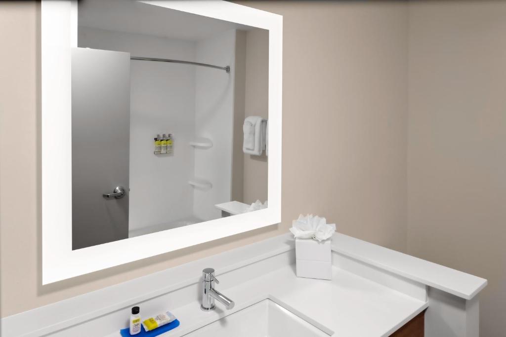 a bathroom with a sink and a mirror at Holiday Inn Express & Suites - Wilmington West - Medical Park, an IHG Hotel in Wilmington