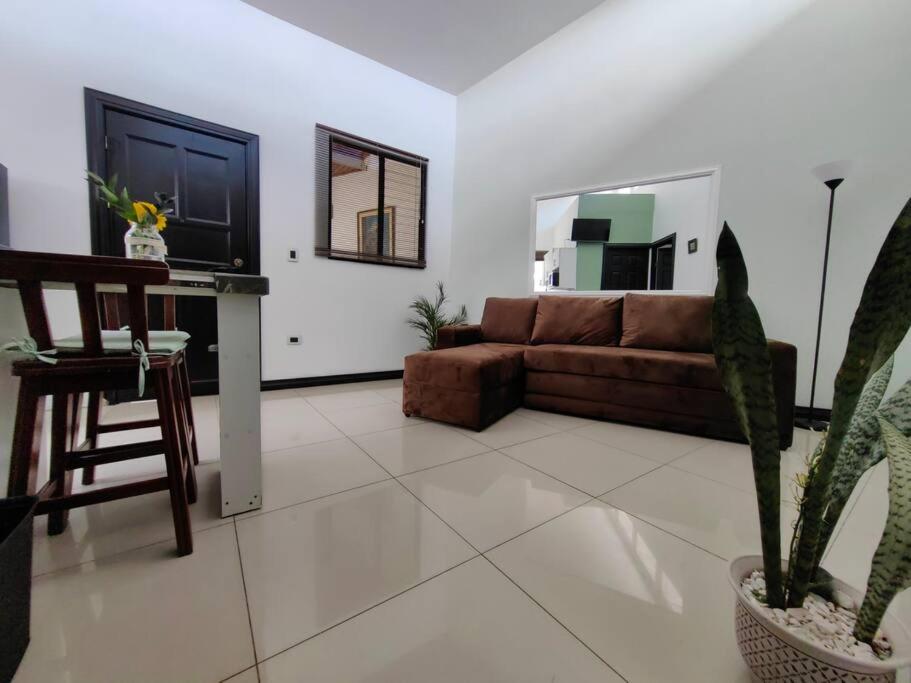 Posezení v ubytování Apt Morpho Cas'Aguacate close to Airport, Pedregal, Centro Convenciones
