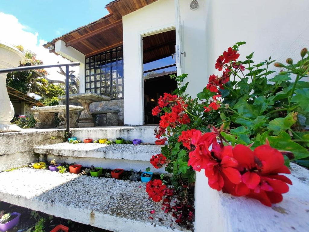 Zahrada ubytování Villa Valcore
