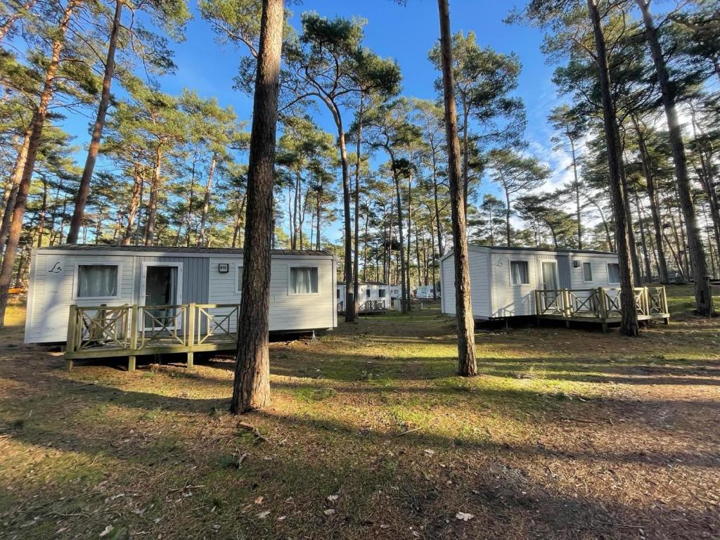 two mobile homes in the woods with trees at Kleines aber feines Ferienhäuschen in Strandnähe - Tiny Chalet Nr 815 in Göhren