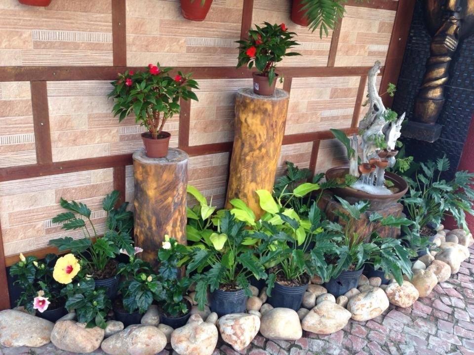  Bali Motel (Adults Only)