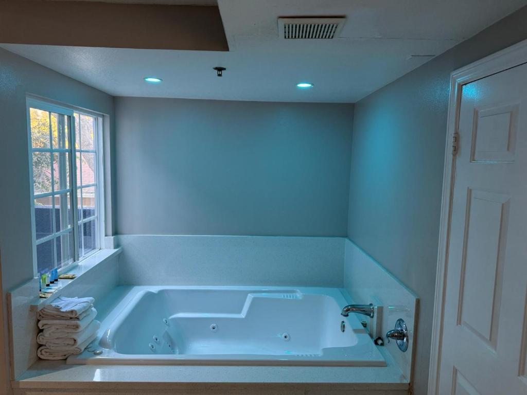 Wave Hotel Manhattan Beach - King Suite With Spa Bath