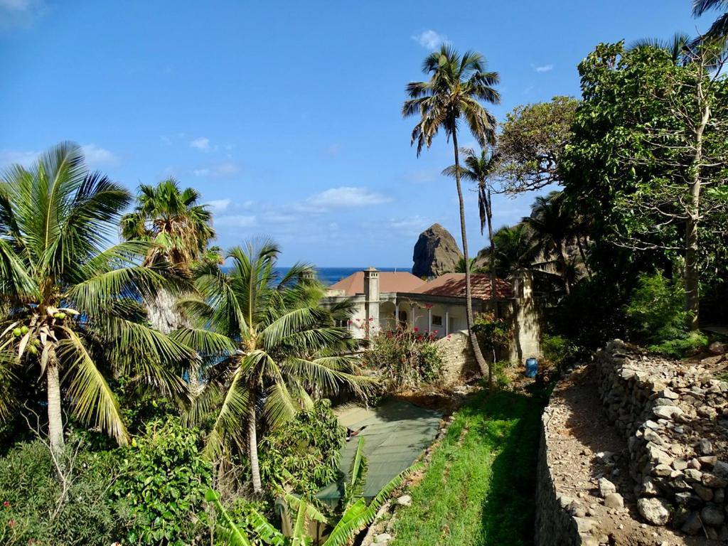 una casa con palmeras y el océano en el fondo en Sol na Baia en Vila Nova Sintra