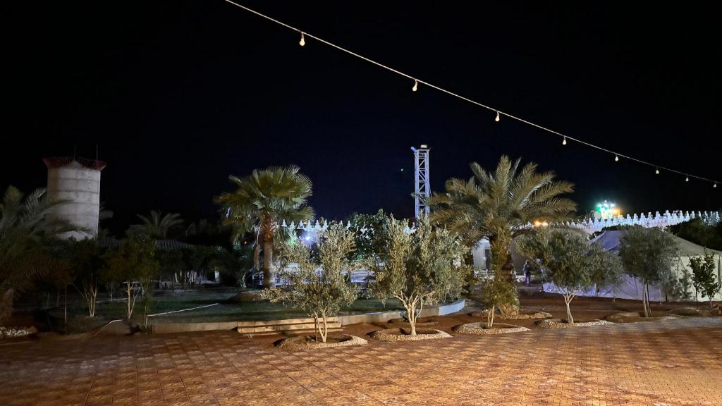 a park with palm trees and lights at night at Thenoblejewel in Al Laqīţah