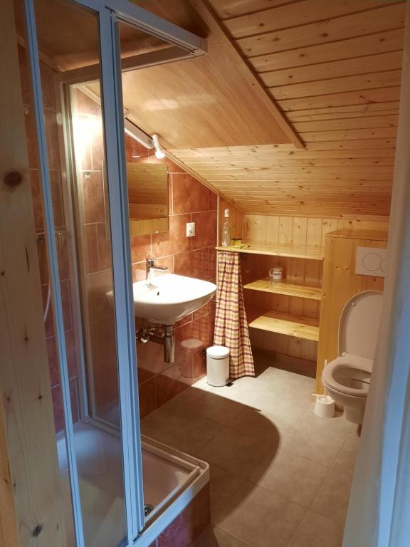 Studio sans cuisine في Vissoie: حمام مع حوض ومرحاض