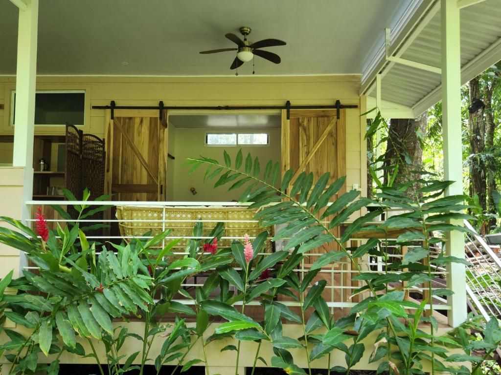 Fotografie z fotogalerie ubytování Banofi Hills - dream getaway for nature lovers v destinaci Talamanca