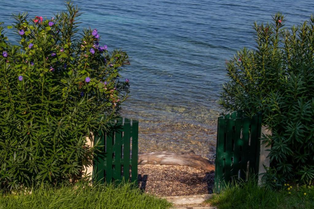 Φυσικό τοπίο κοντά σε αυτό το διαμέρισμα