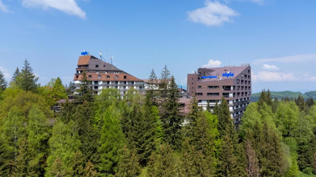 twee gebouwen bovenop een heuvel met bomen bij Alpin Resort Hotel in Poiana Brasov