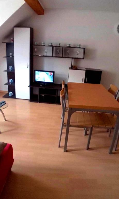 TV a/nebo společenská místnost v ubytování Ubytování Sušice