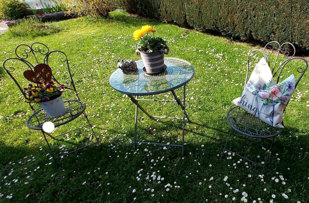 Wildflecken的住宿－Ferienwohnung Ziegler，两张椅子和一张玻璃桌,上面有植物