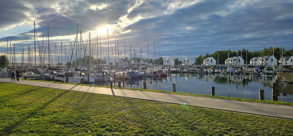 a marina with a bunch of boats in the water at Mobilheim Marine Glück im Yachthafen Peenemünde in Peenemünde