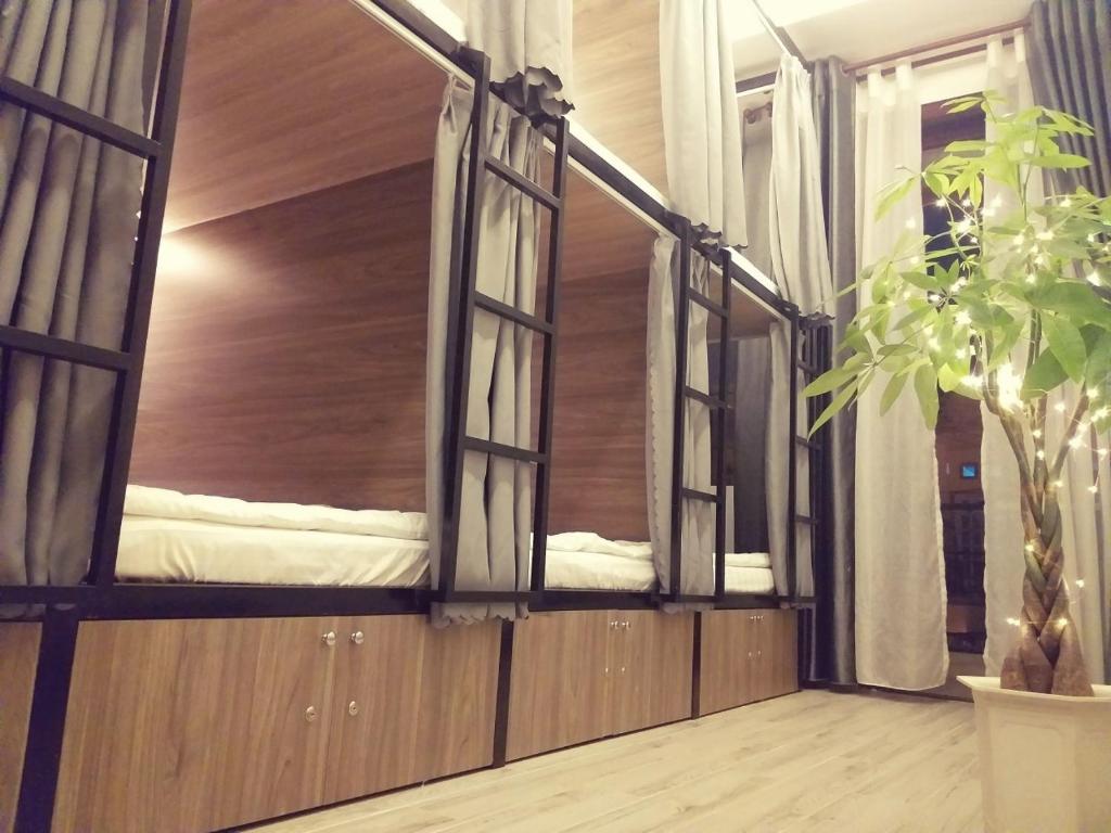 een kamer met twee ramen en een potplant bij Adora for Expat in Can Tho