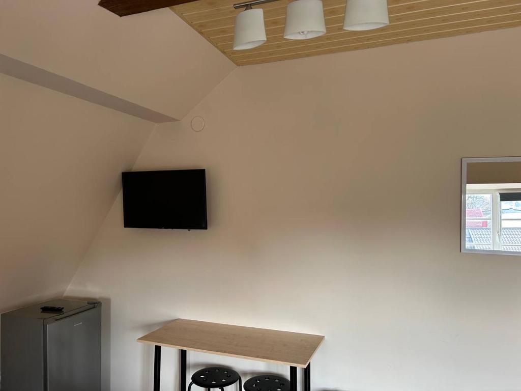 TV a/nebo společenská místnost v ubytování Hostel Filaretai