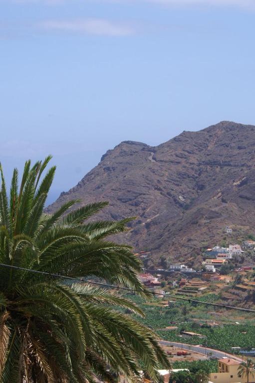 a palm tree with a mountain in the background at Vivienda Vacacional Cuenca de Liria in Hermigua