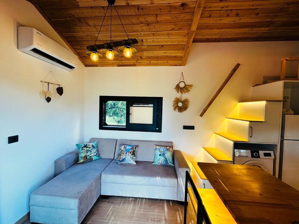 a living room with a couch and a table at Yucca tiny house in Orta