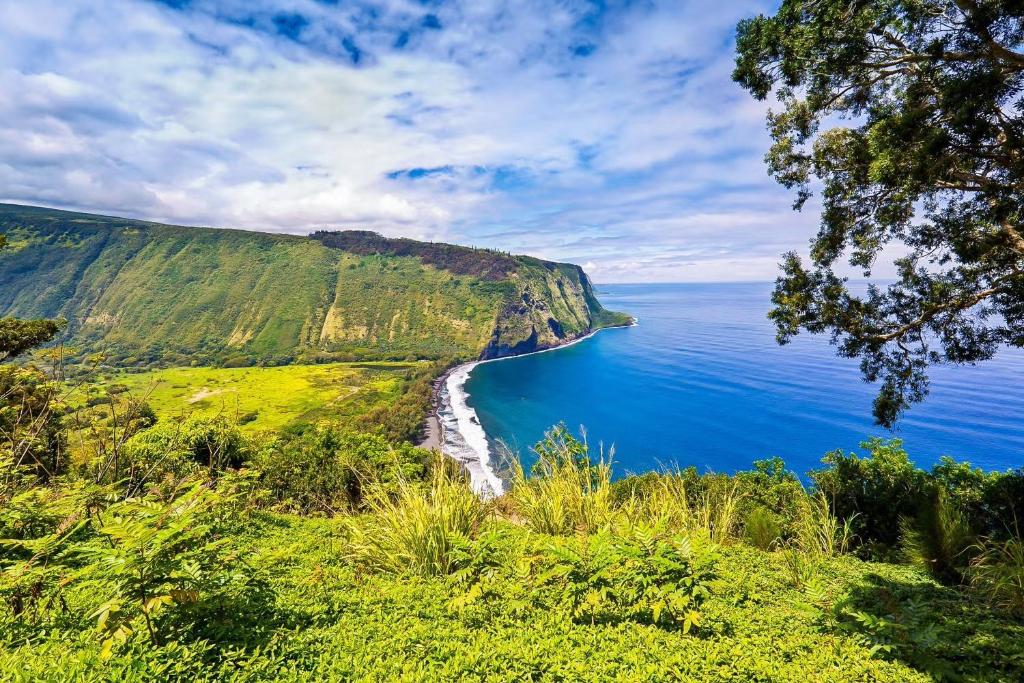 a view of the ocean and a beach on a cliff at Kona Beach Studio for Couples Relaxing Island Retreat-Beach Gear Included in Kailua-Kona
