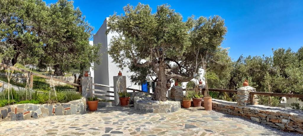 Vonkajšia záhrada v ubytovaní Aspra Chomata Villas