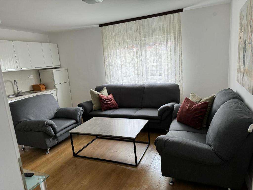 Sala de estar con 2 sofás y mesa de centro en Apartmani Ivana, en Prozor