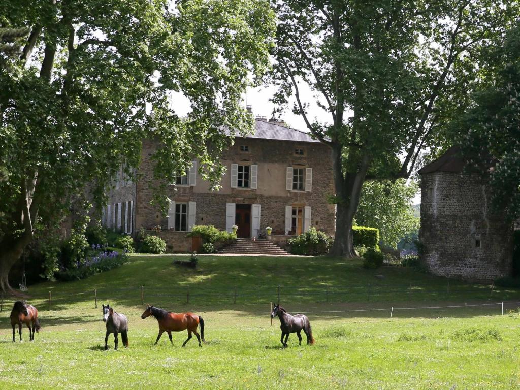 vier Pferde stehen auf einem Feld vor einem Haus in der Unterkunft Domaine La Bonne Etoile in Beausemblant