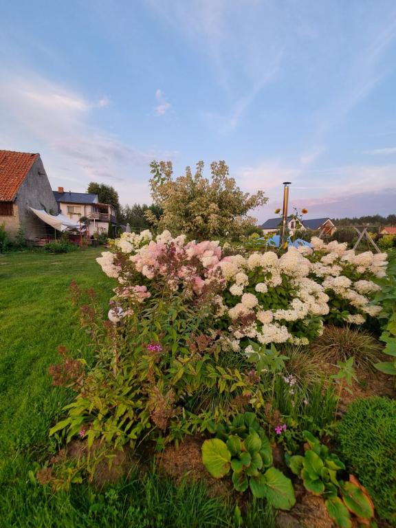 Ogród w obiekcie Domki nad rzeką Ełk