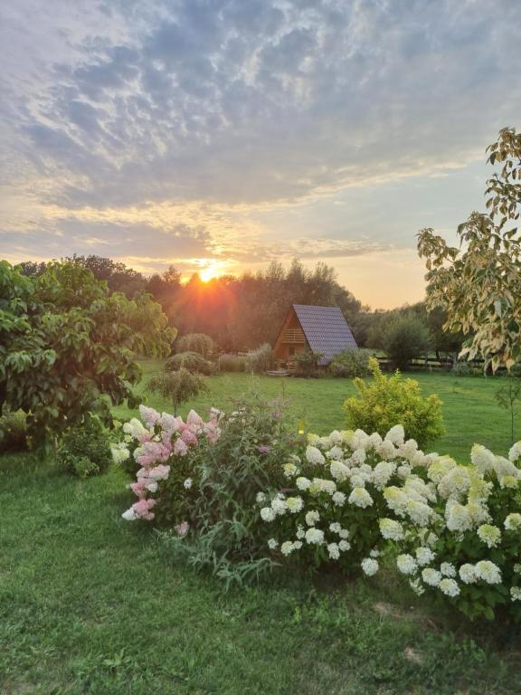 Ogród w obiekcie Domki nad rzeką Ełk