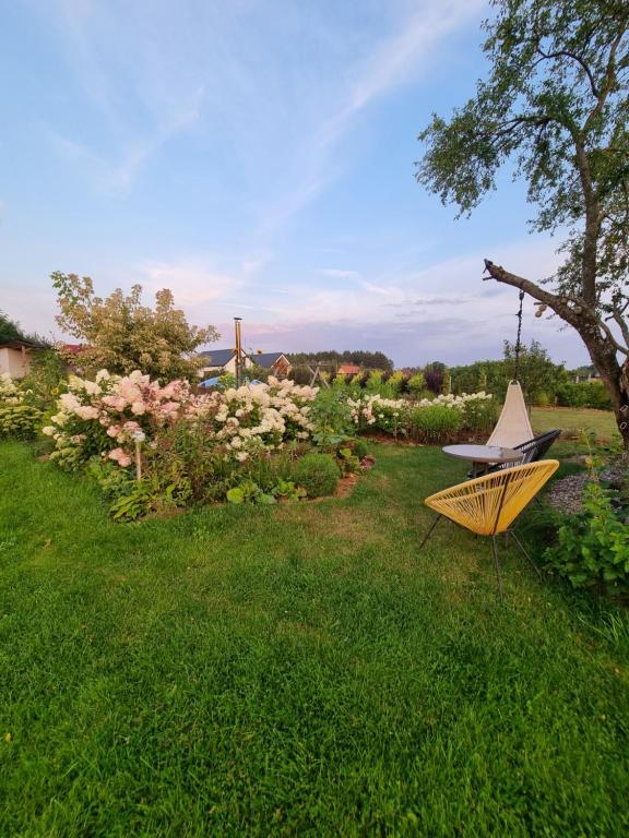Ogród w obiekcie Domki nad rzeką Ełk
