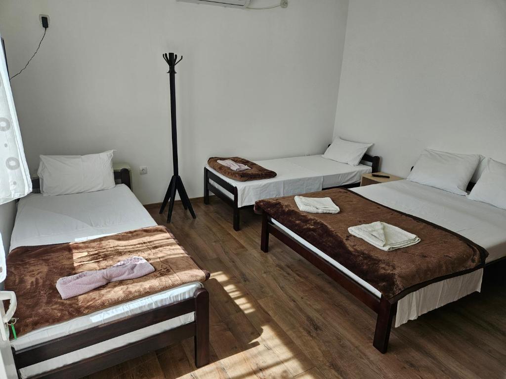 Apartments Kuca Aleksic - Apartment - Ground Floor