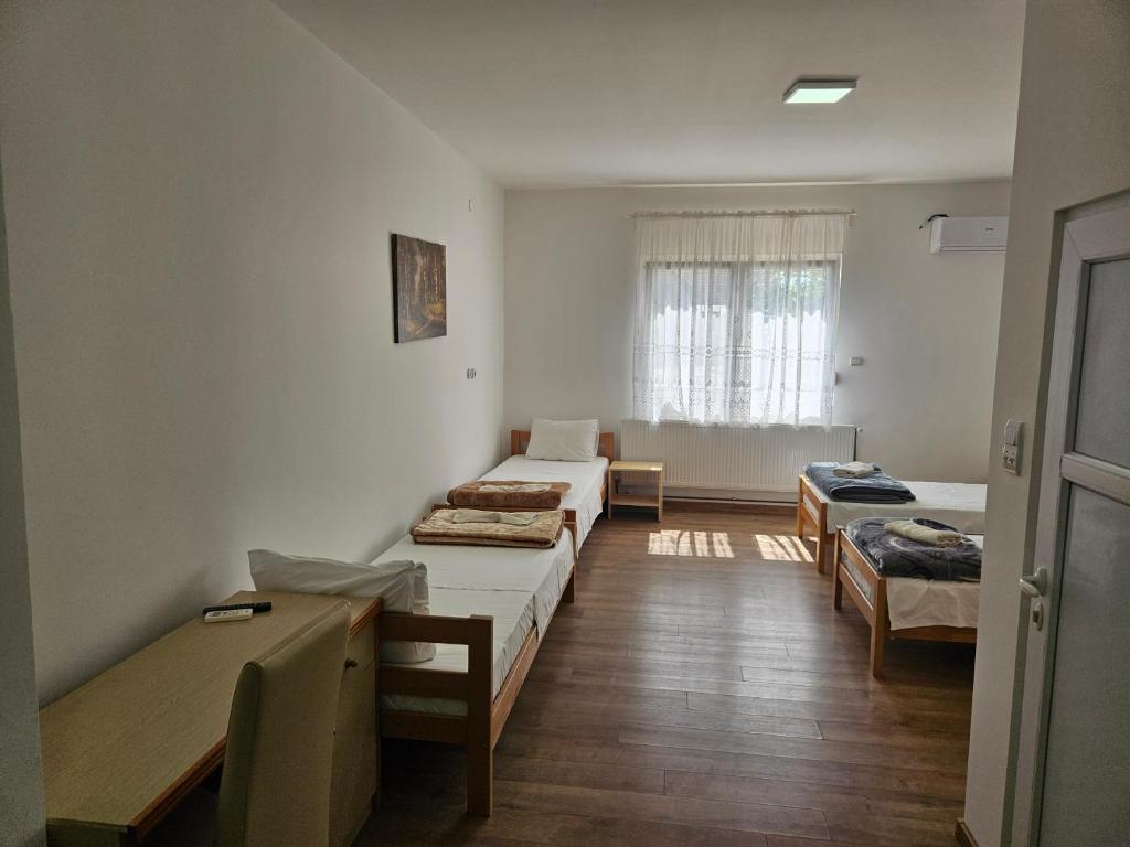Apartments Kuca Aleksic - Apartment - Ground Floor