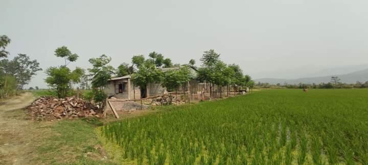 ein Haus mitten auf einem grünen Feld in der Unterkunft Gadyauli Village in Debichaur