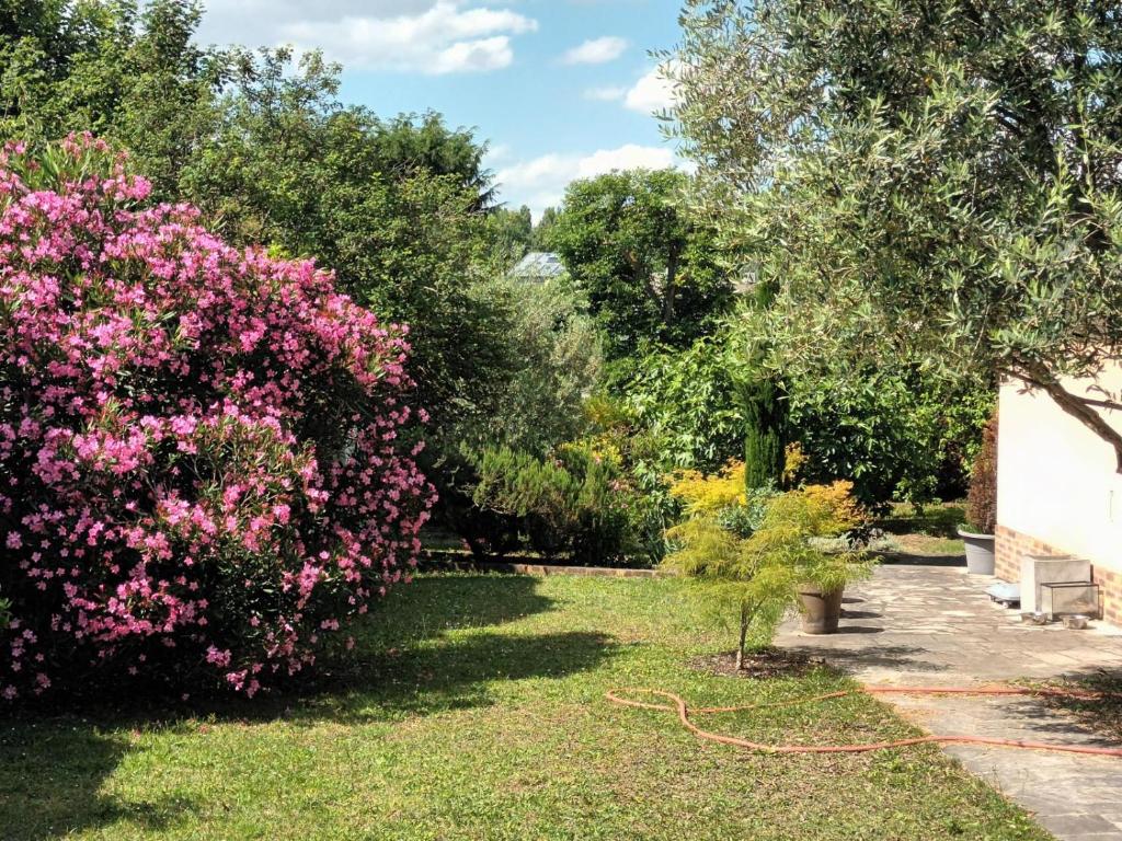 a garden with pink flowers and trees at Studio Les Oliviers in Noisy-le-Grand