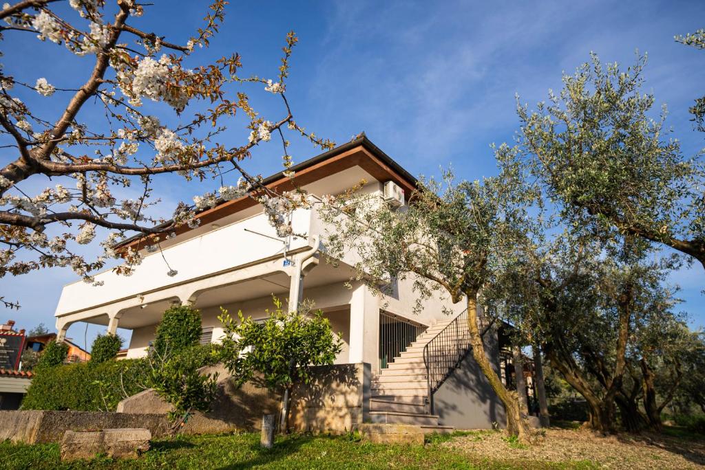 a white house with stairs and a tree at Olive Garden Apartment in Plovanija