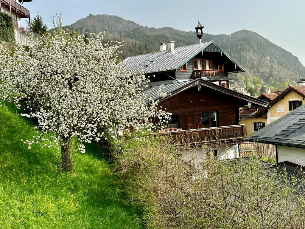 a house on the side of a hill with a tree at Chalet am Hasensprung in Berchtesgaden