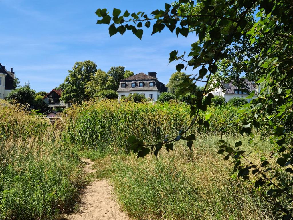 Villahotel Rheinblick - Resim 11