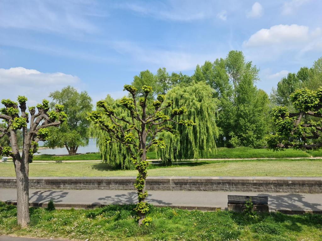 Villahotel Rheinblick - Resim 10