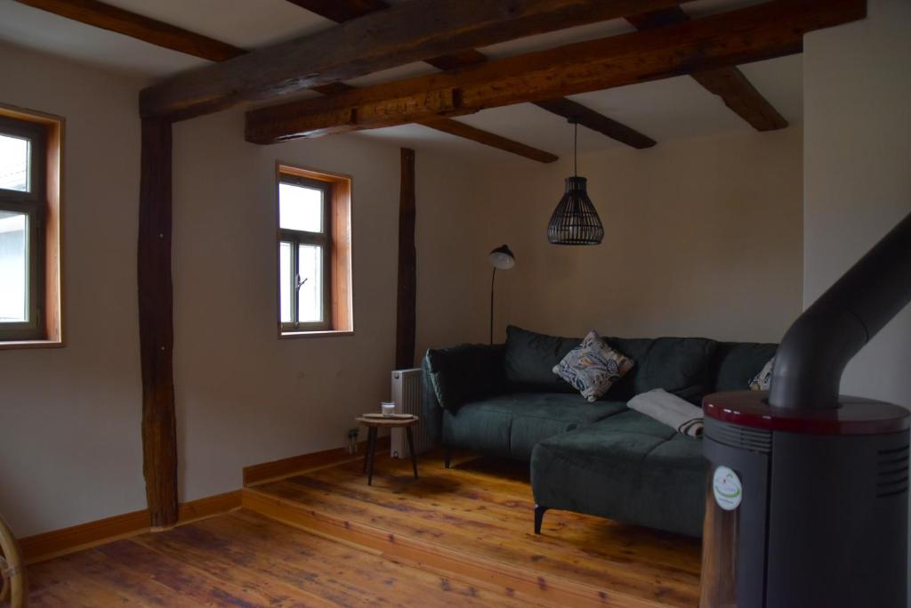 uma sala de estar com um sofá verde e janelas em Ferienhaus an der Höh' em Zellingen