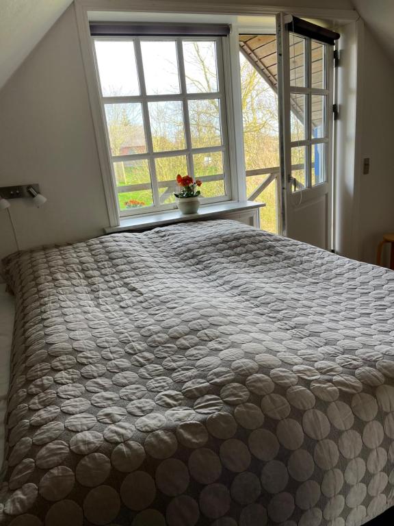 a large bed in a room with a window at Kallerup Hgård in Thisted