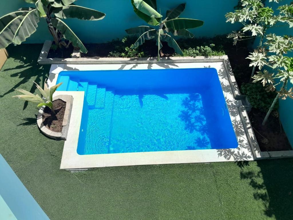 una vista aérea de una piscina con plantas en Praia Guest House en Praia