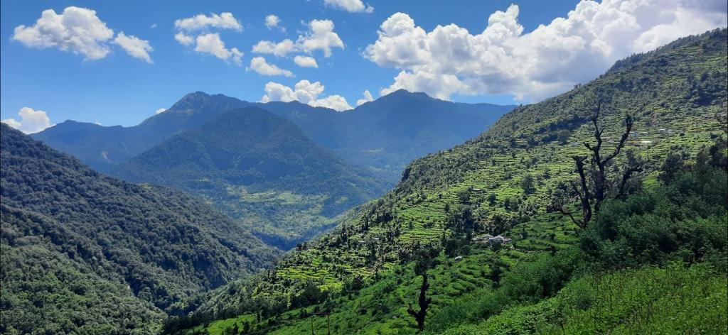 uma vista para um vale com montanhas ao fundo em Agora Homestay em Uttarkāshi