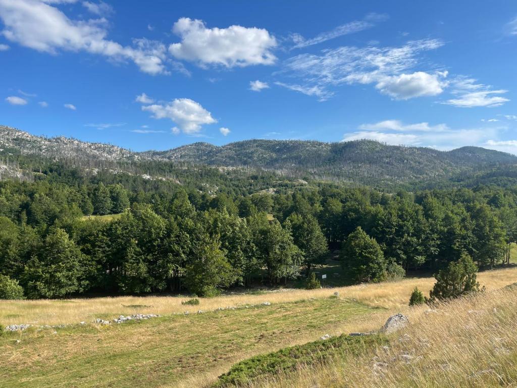 widok na pole z drzewami i górami w obiekcie EKO KAMP „LUKE“ w mieście Nikšić