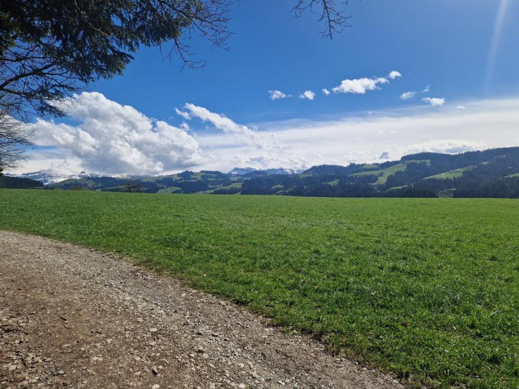 Příroda nedaleko apartmánu