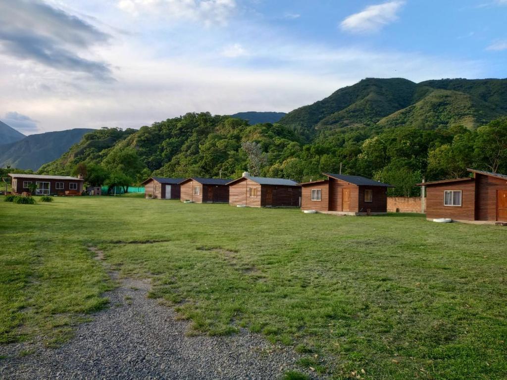 eine Reihe von Häusern auf einem Feld mit Bergen im Hintergrund in der Unterkunft Complejo de Cabañas Ohana Salta in Campo Quijano