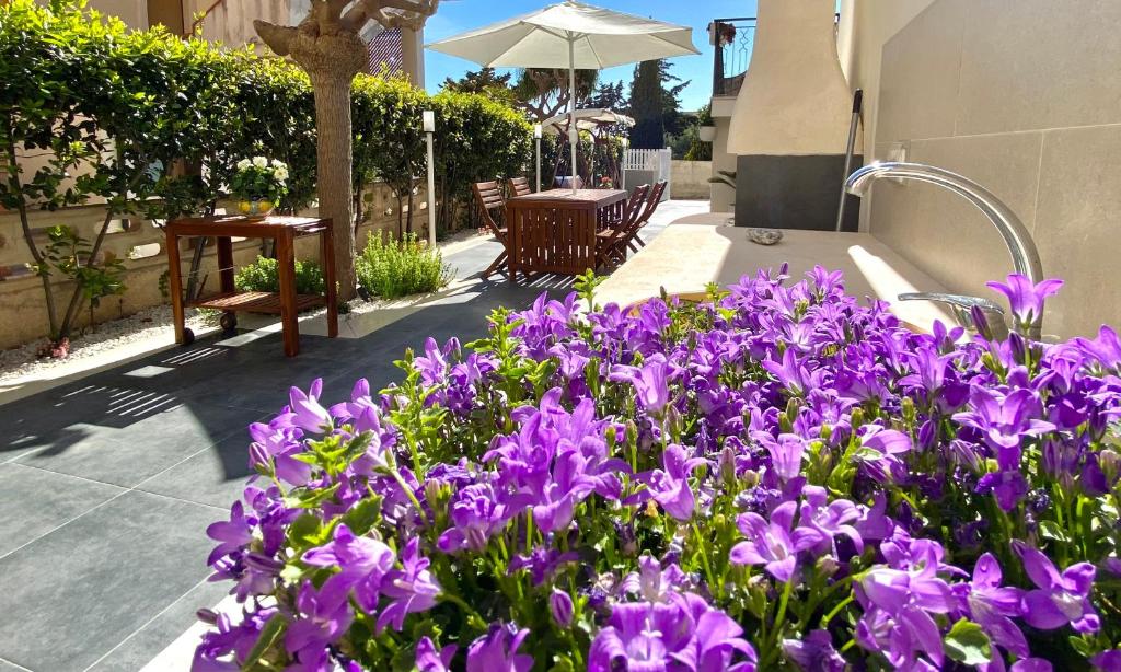 Un mazzo di fiori viola in un giardino di Conteamare a Marina di Modica