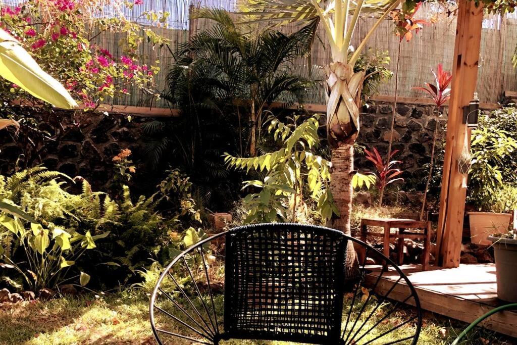 een stoel in een tuin met planten bij Appt Althea avec Jardin privé proche lagon - La Saline-les-bains in Saint-Paul
