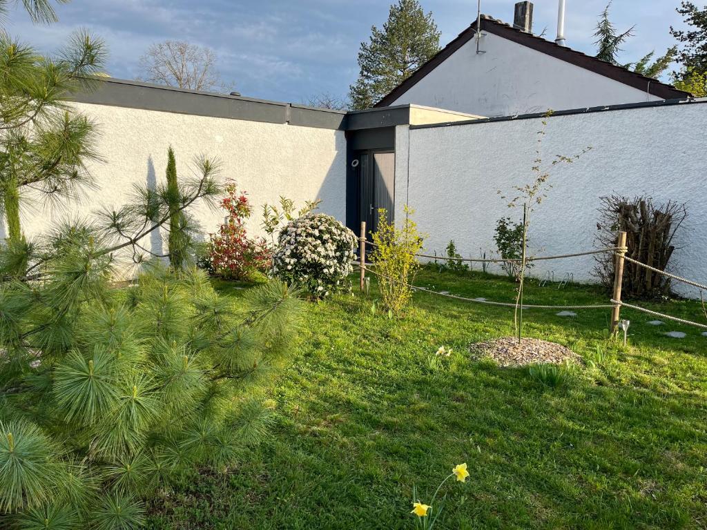 a yard with a building and a tree in the grass at Les pins de Talant , au calme en rez de jardin in Talant
