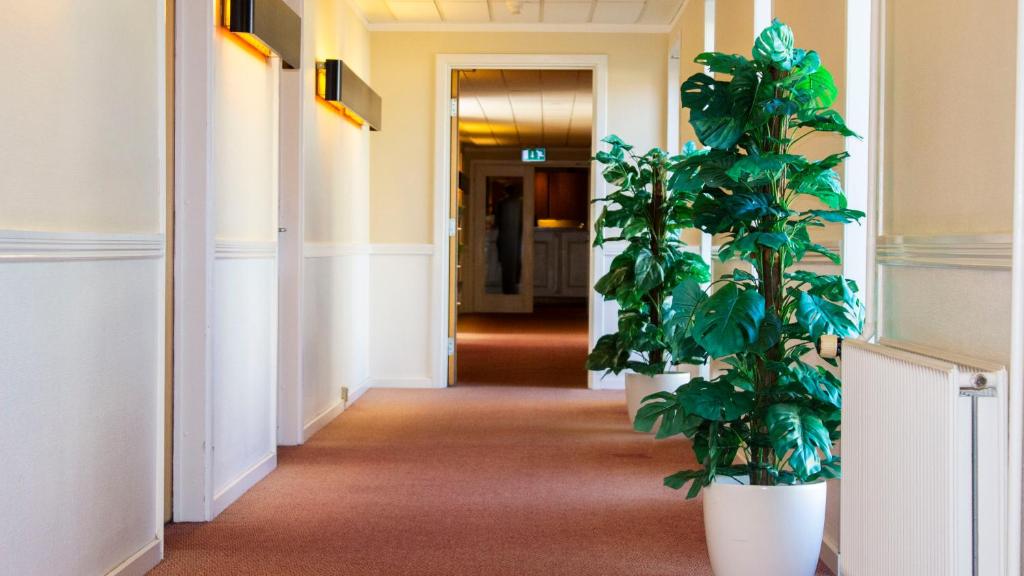 a corridor with a plant in a hallway at A Hotels Roskilde in Hedehusene