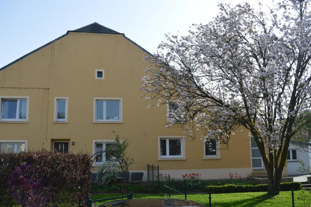 een geel huis met een boom ervoor bij Chez nous in Chiny