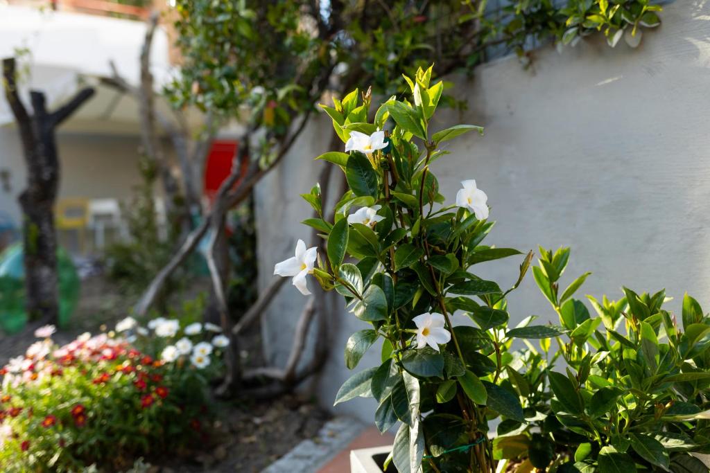 Zahrada ubytování B&B CASA GAGLIARDI
