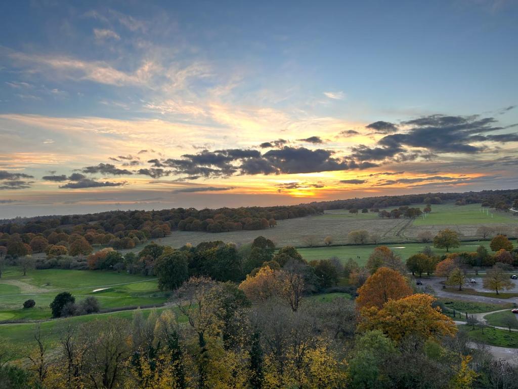 einen Sonnenuntergang über einem Feld mit Bäumen und Gras in der Unterkunft richmond park top floor in London