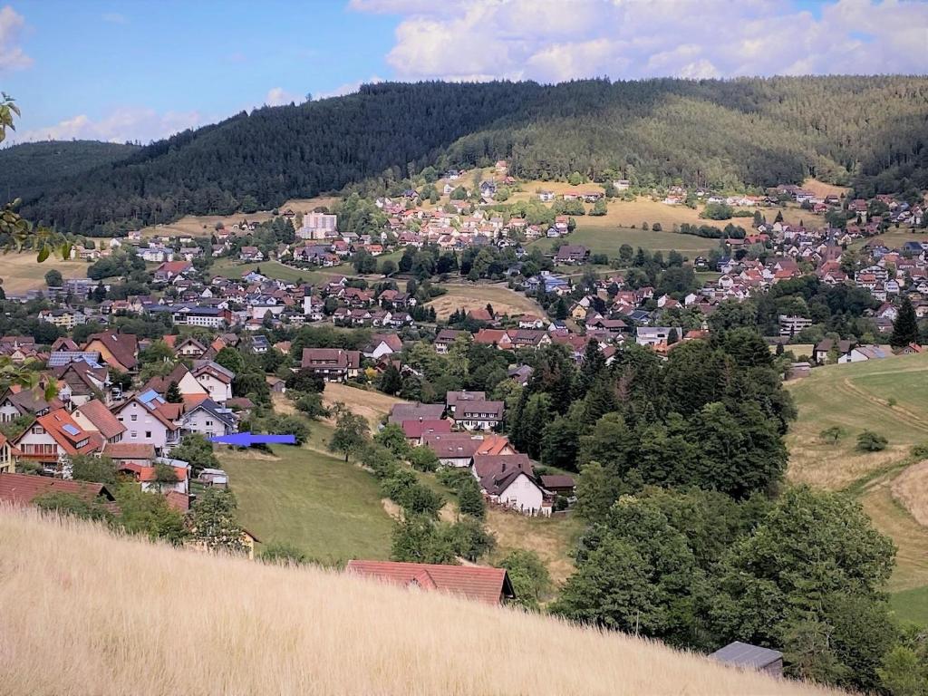 Een luchtfoto van Gemütliche Ferienwohnung in Baiersbronn